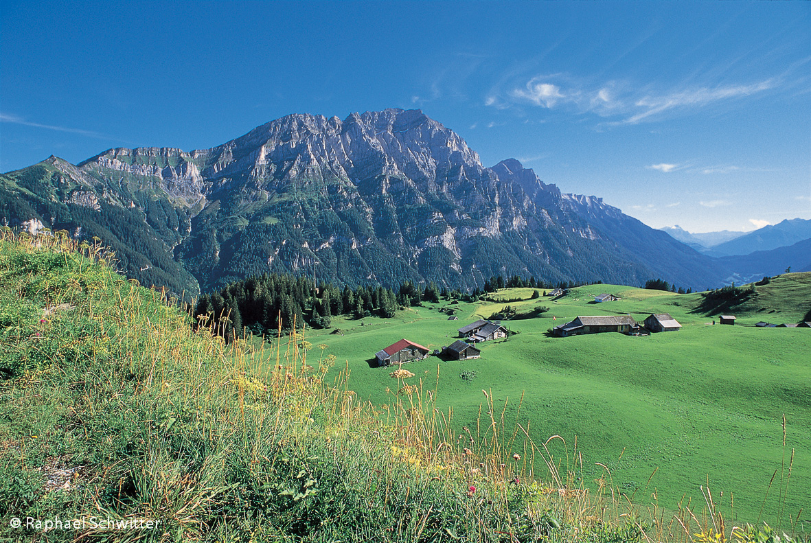 Alp
